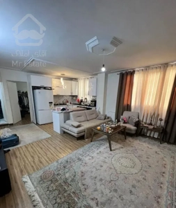 ۵۵ متر سراسیاب خیابان کرمان شرقی