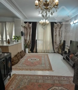 خوش نقشه/نور گیر/مناسب مصرف کننده