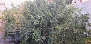 اجاره ۱۲۰ متر ویلایی بلوار استاد شهریار