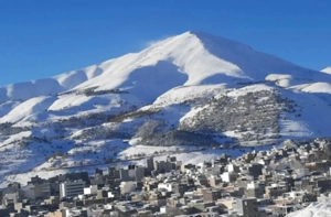 مشاور املاک در پنج آذر و وحدت