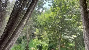 ۳ خوابه فروشی فاز ۱ اکباتان