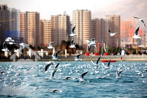 خرید و فروش آپارتمان دریاچه چیتگر منطقه ۲۲