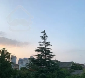 فروش آپارتمان، ۸۳ متر، متل قو (سلمان شهر) شمس آباد