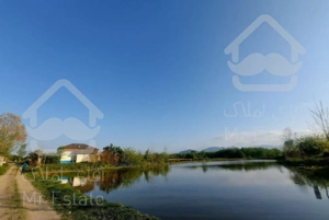 ۳۳ هزار متر زمین ۳۰۰ و ۹۰ متر بنا سند تک برگ جنگلی