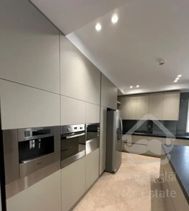 299sqm.برجباغ کامرانیه شمالی فول