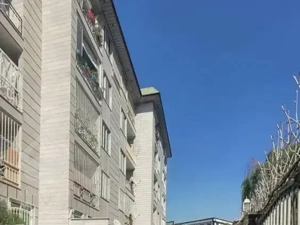 ۶۰ مترفول طرشت