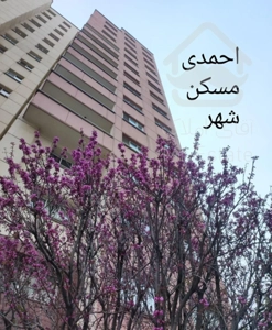 قیطریه مجتمع سبحان ۱۶۴ متر طبقه ۱۳ (احمدی)