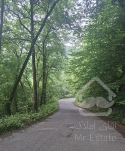 اربکله  بین ابرها با ویو ۳۶۰ درجه جنگل ، ساحل