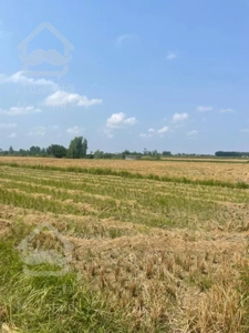 فروش زمين كشاورزي ٤٠٠٠ متري