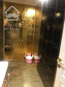 اجاره و رهن آپارتمان زعفرانیه 320  متر شیک