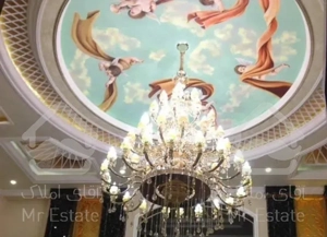 اجاره ٢٢٠متری برق /  / اعیان نشین