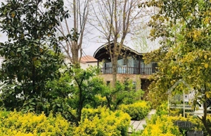 ویلاباغ نقلی ۳۰۰متری/امیراباد/پلاک یک جنگل سنددار