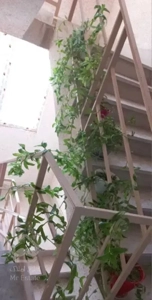 آپارتمان ۵۰ متر ۱خوابه         احمدی