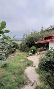 اجاره خانه باغ وییو