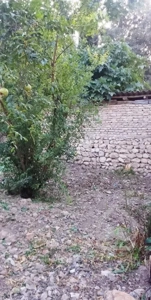 فروش خانه باغ  روستایی