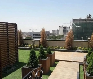 ۲۸۰متر کاج مروارید