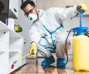 سمپاشی/ساس موریانه سوسک موش مارمولک/کل شهر/سم پاشی