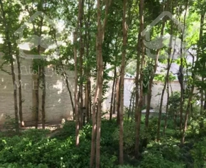 280 متر / دریای نور / 4 خواب / برج باغ