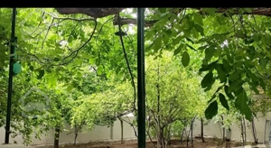 اجاره خانه باغ