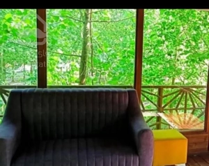 بیا و از نزدیک ببین