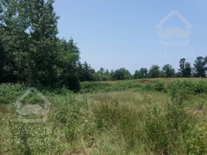 فروش ویلا رامسر در ۷۰۰۰متر زمین