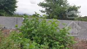 زمين سنددار داخل بافت اميرود٣٨٥متري