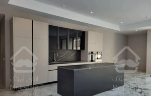 ولنجک سوپر مدرن نوساز ۱۷۰ متر