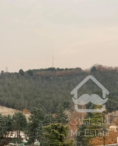 ۱۹۵ متر سه خواب ( در قلب شیان ) در مجاورت جنگل