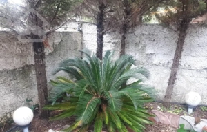 فروش ویلا ۱۶۰متری