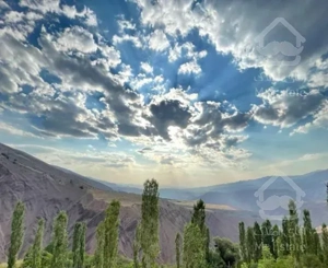 زمین کشاورزی  سند دار