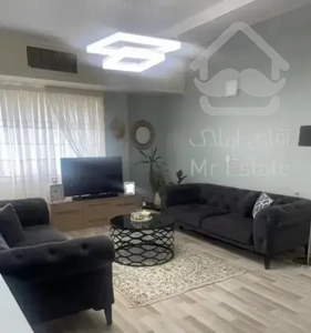 ۸۰ متر / خطی رو به آفتاب / شهران