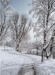 ۲۰۰۰متر باغ ویلا در شهر دماوند