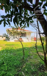 ویلا نقلی ،۵۰۰ متر زمین ، جاده ماسوله