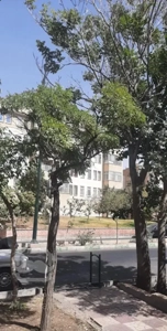 آپارتمان ۱۵۰ متر حکیمیه