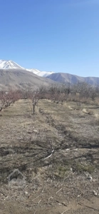 فروش زمین ویلای دماوند ابسرد