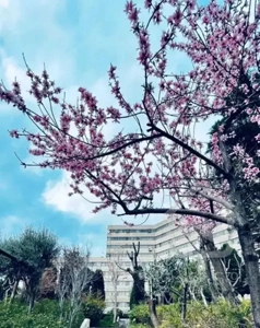 ۳ خوابه فلت فاز۲