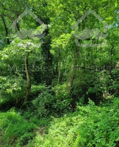 ویلا ۴۷۴متر زمین ۲۶۰ متر بنا فروش