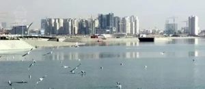 واحد شیک و نورگیر ۹۵متر دید دریاچه چیتگر