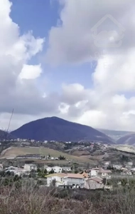 فروش کاخ ویلا ۶۰۰ متری پلاک یک جنگل