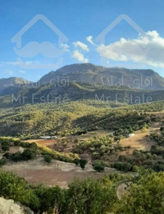 اجاره ویلای جنگلی در روستای تا ف با طبیعتی بکر