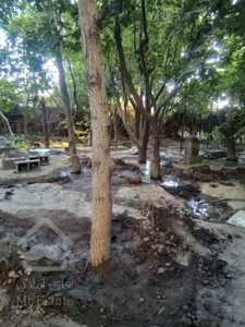 زمین چهار دیواری