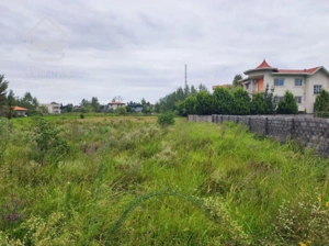 زمین مسکونی 870 متر رامسر