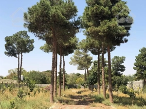 ۵۰۰۰ متر باغ ویلا ششدانگ تکبرگ مهرشهر کرج