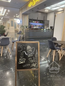 فروش آپارتمان مسکونی 177 متری مدرن در رونیکا پالاس هروی