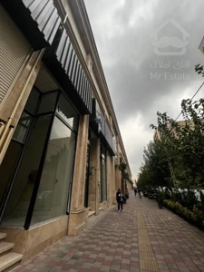 فروش واحد 33 متر رونیکامال در هروی