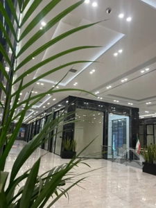 رهن و اجاره مرکز خرید رونیکامال در هروی با بهترین پاخور