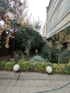 اجاره مسکونی       110 متر          مطهری