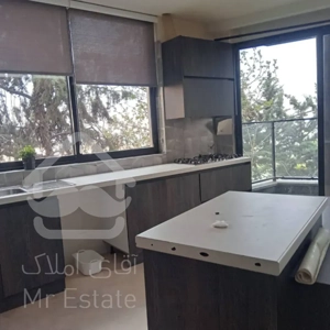 اجاره آپارتمان 160 متری در ولنجک