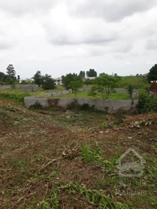 فروش زمین واقع در روستای تشگون هم کلی هم قعه