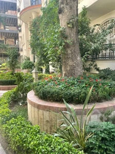 خرید کلنگی 470 متری زیر قیمت در جمشیدیه